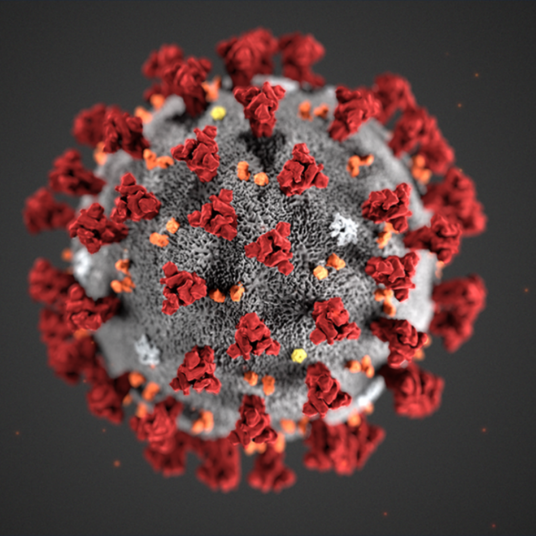 Illustration of the ultrastructural morphology exhibited by SARS-CoV-2 and the spike proteins that adorn the outer surface of the virus.