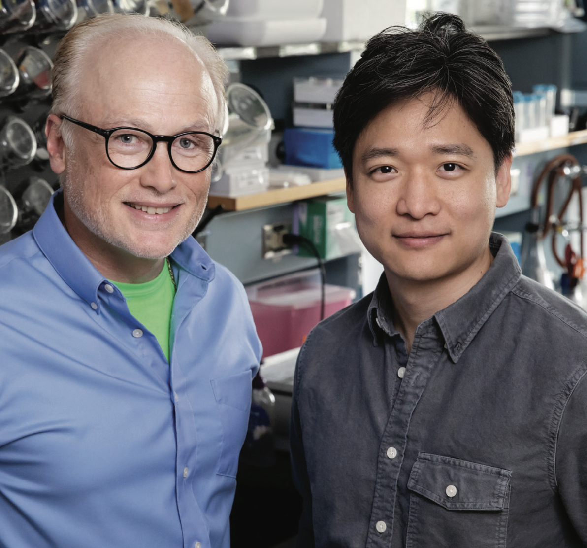 Microbiology professor Steven Blanke, graduate student Ik-Jung Kim and their colleagues discovered how a disease-causing bacterium, Helicobacter pylori, undermines the body’s immune defenses. Photo by L. Brian Stauffer.