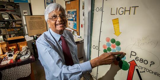 At a conference in the early 1960s, another researcher defaced a poster of Govindjee’s proposed photosynthesis pathway as an “Illinois Fantasy,” but Govindjee’s hypothesis was later proved correct.