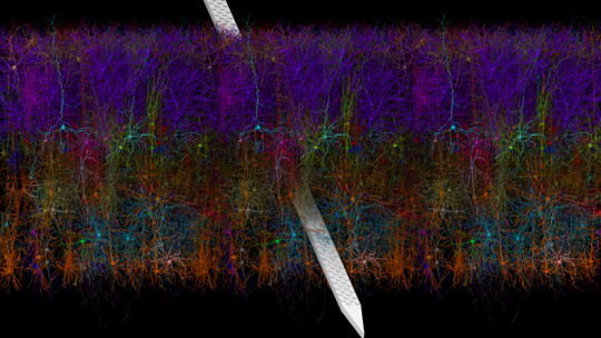 Model of Mouse V1 with a Neuropixels Probe. This rendering of a model of mouse primary visual cortex with a Neuropixels probe was created using a new tool, VND (Visual Neuronal Dynamics).