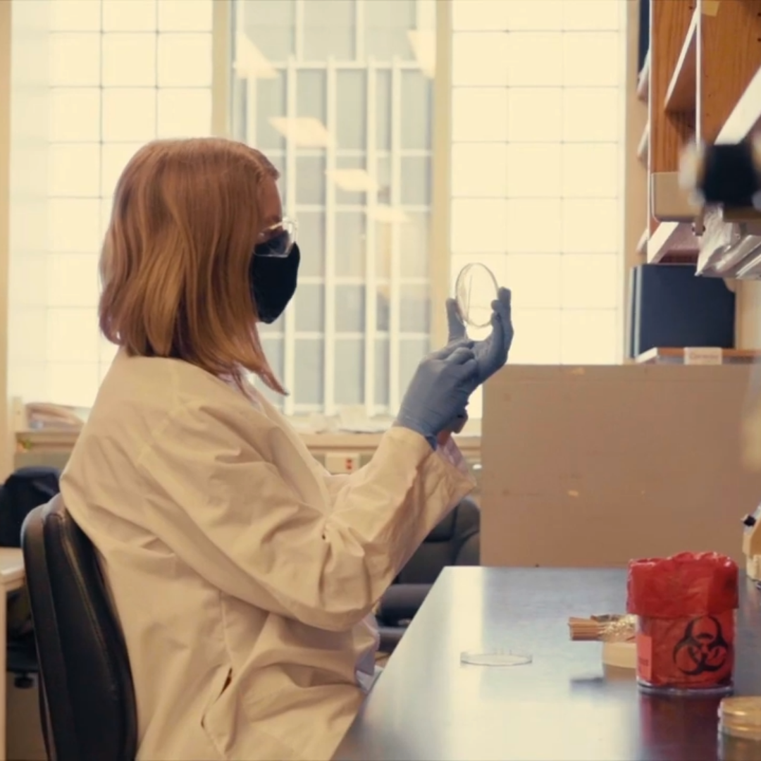 Katie Frye sits at her desk, masked and gloved, holding up a Petri dish.