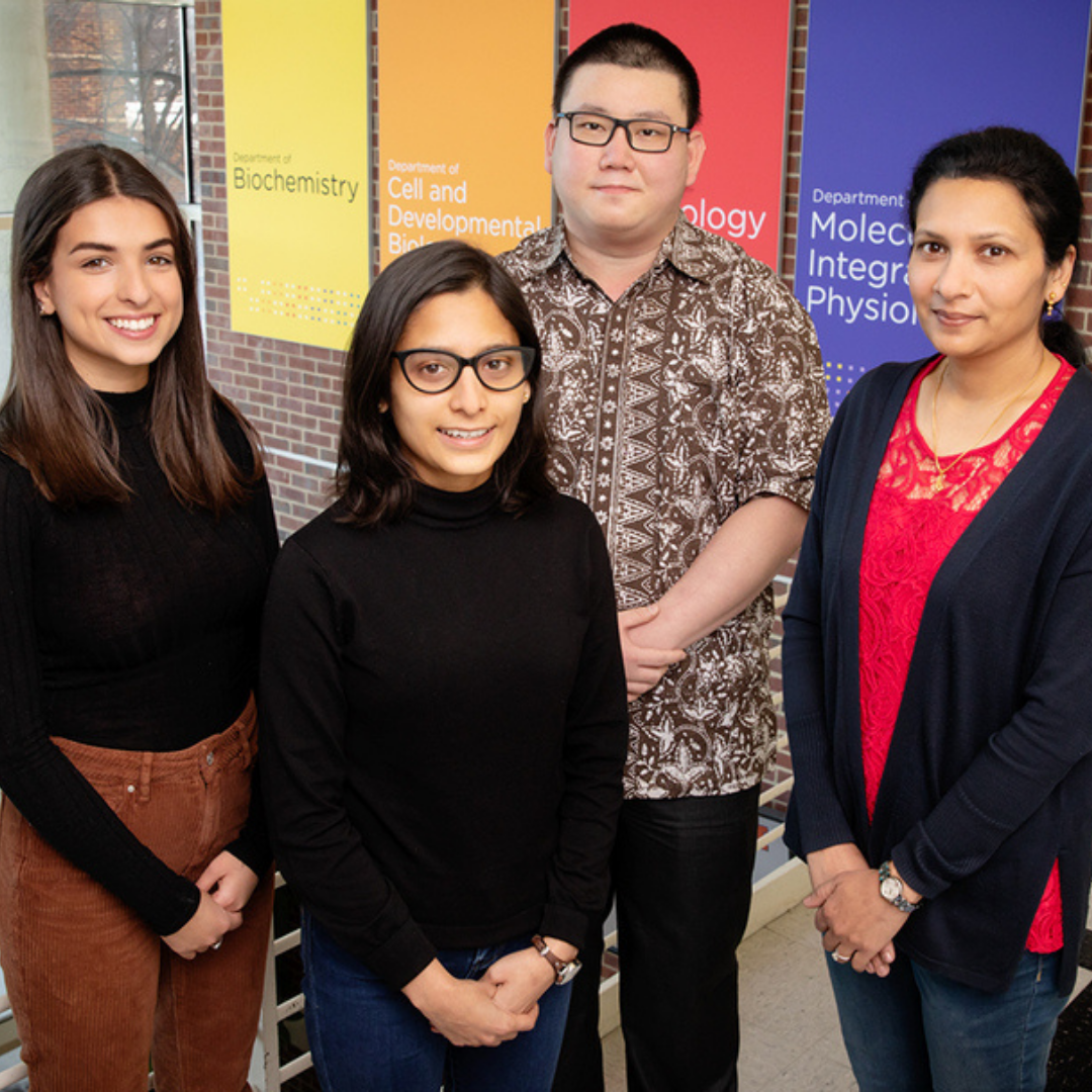 Research team members pose together in the School of MCB's CLSL atrium, where banners for each department hang in the background. The research team includes, from left, undergraduate student Darya Asoudegi; graduate students Neha Chetlangia and Fredy Kurniawan; and Supriya Prasanth, a professor of cell and developmental biology at the U. of I. Photo by L. Brian Stauffer.