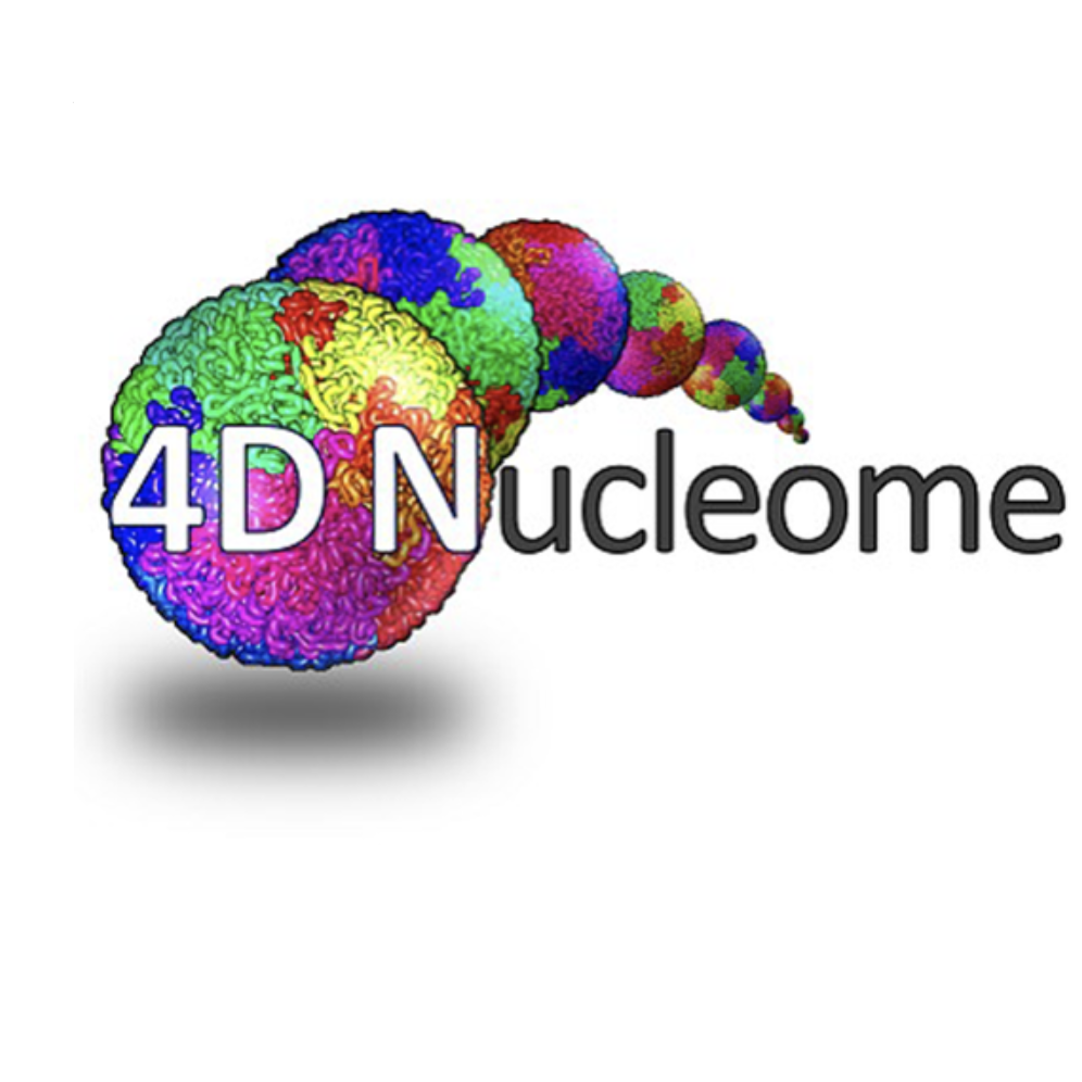 Text of logo: 4D Nucleome