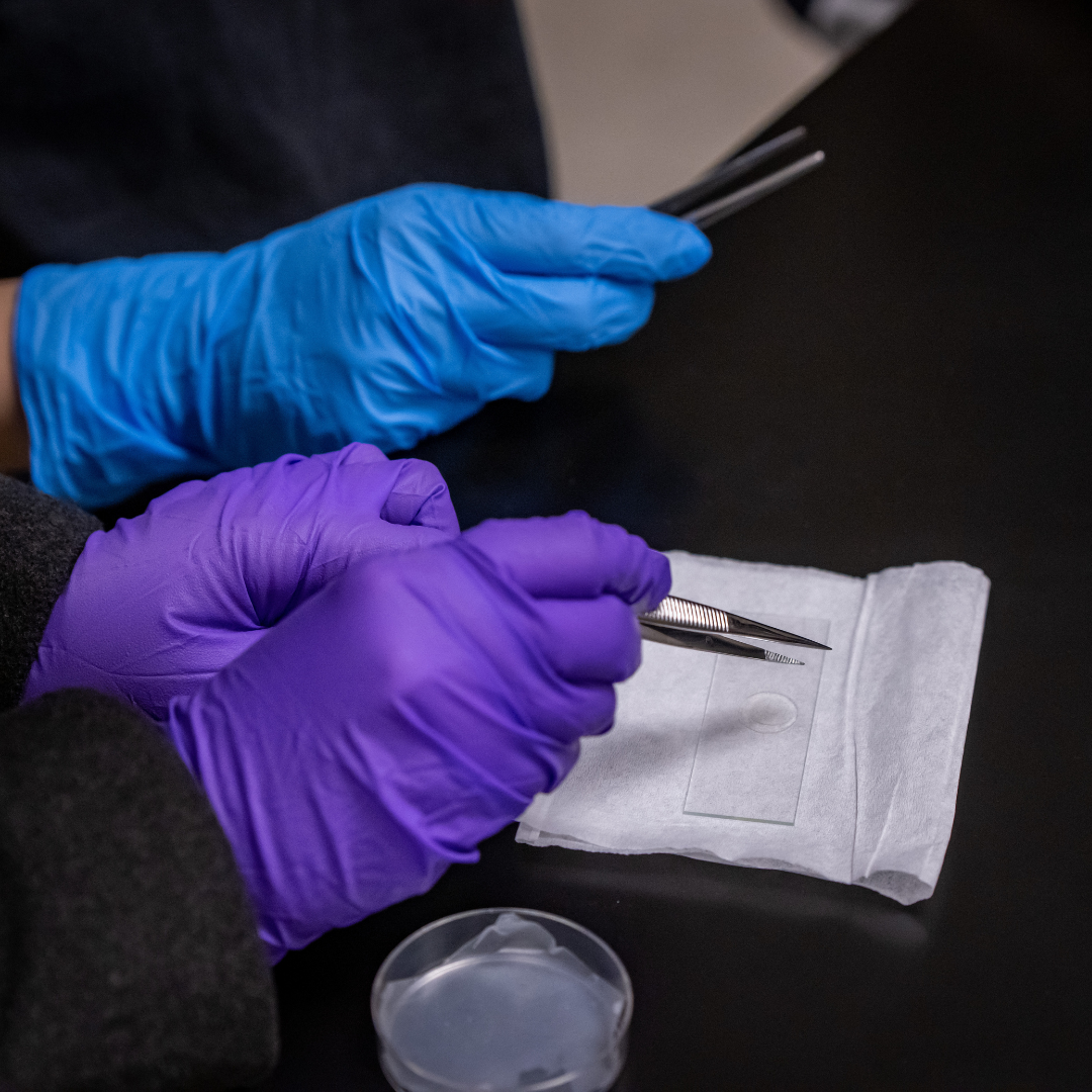 Tight shots of hands holding equipment in bright blue and purple gloves.