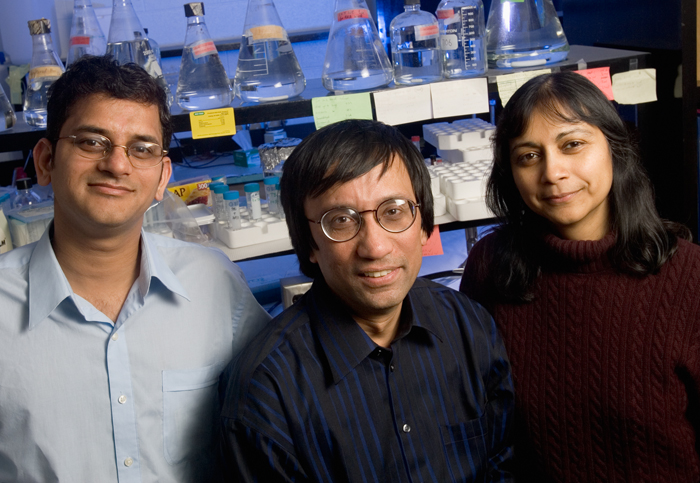 Milan Bagchi, a professor of molecular and integrative physiology, is flanked by Indrani Bagchi, a professor of veterinary biosciences, and her graduate student Raju Mantena.