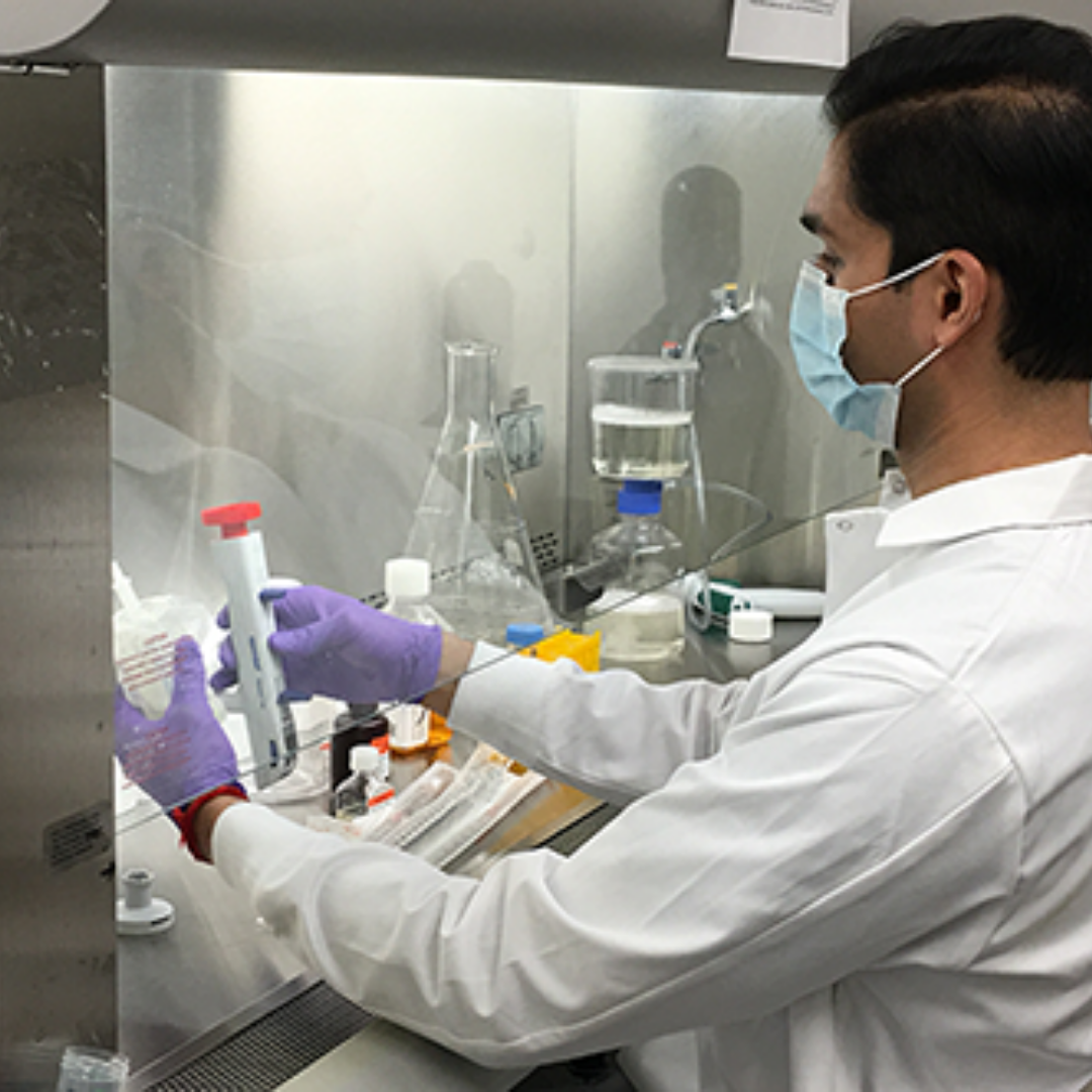 Akanksh Shetty produces Viral Transport Media in the Carl R. Woese Institute for Genomic Biology. The fluid is used to preserve patient test samples for COVID-19. 