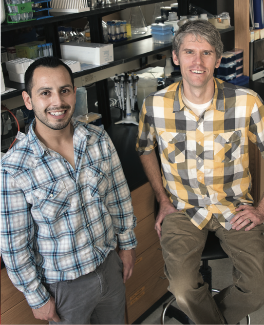 Jeremiah Heredia, graduate student, and Erik Procko, assistant professor of biochemistry.