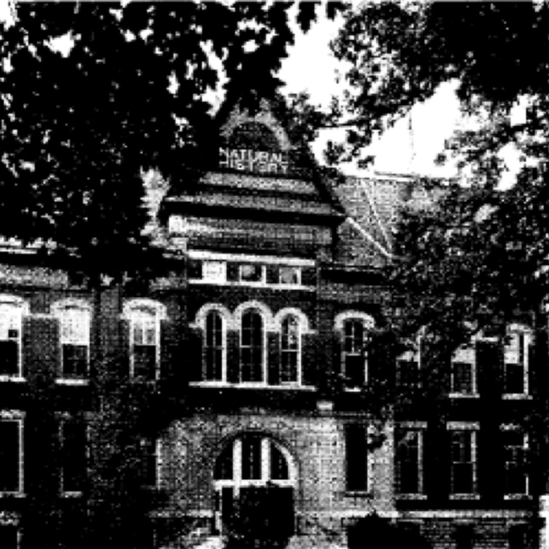 The Natural History building from the north. Physiology occupied part of the fourth floor from 1892 to 1959.