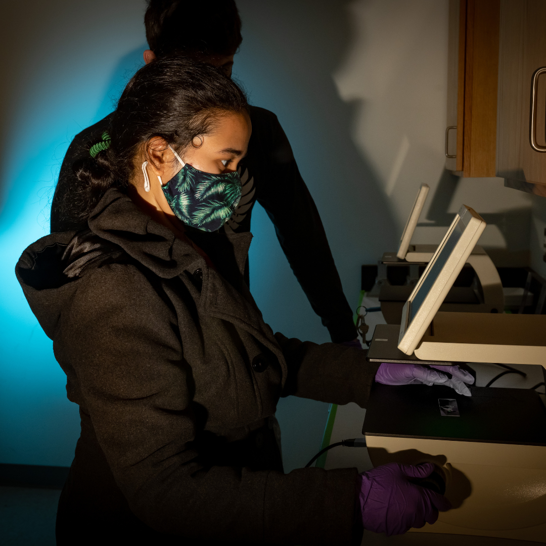 A graduate teaching assistant works in the lab with students looking over shoulder. She is silhouetted with a blue shadow. 