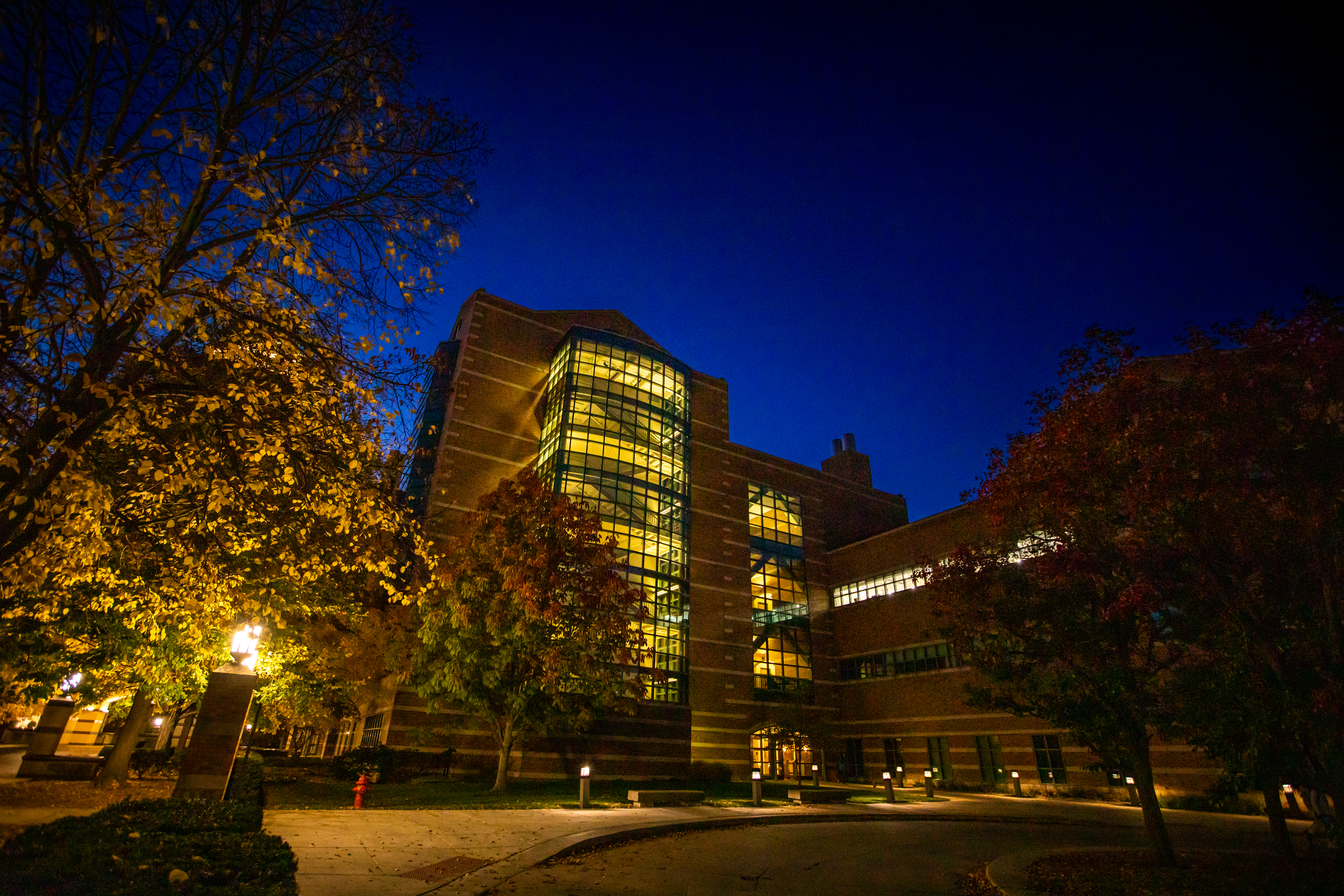 Exterior of Beckman Institute at nighttime. Lights in the building are on and trees along path to the building are illuminated.