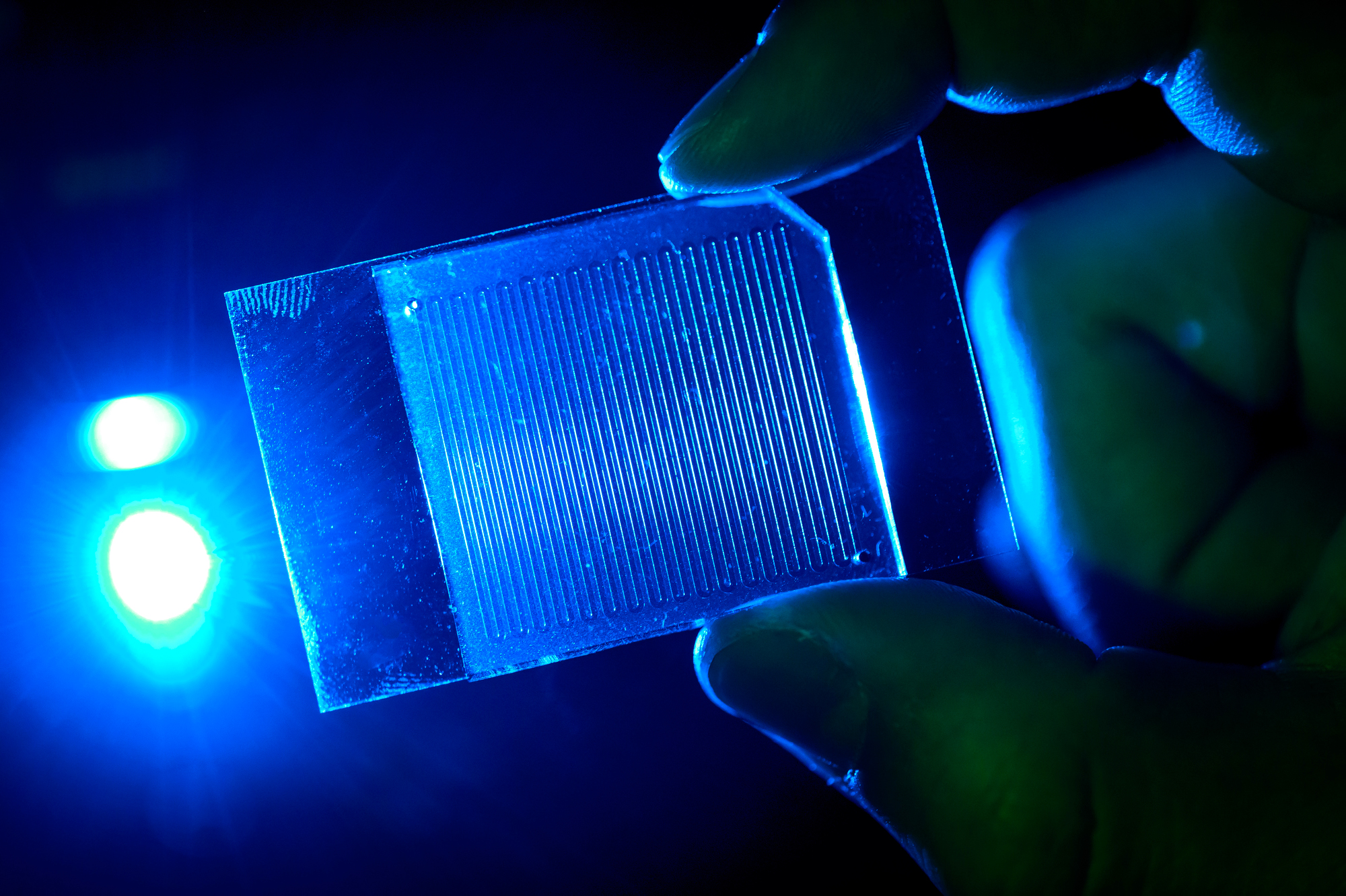 microfluidic device backlit by blue light