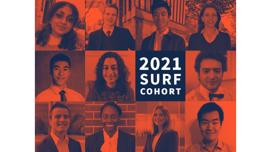 SURF_cohort_2021-01.png