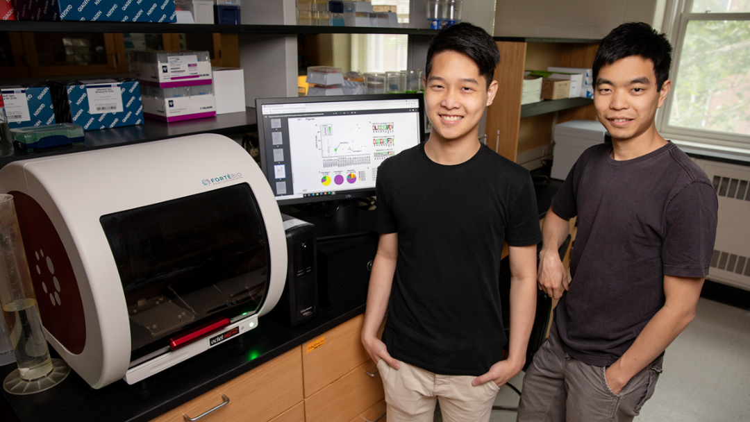 Illinois graduate student Timothy Tan (left) and biochemistry professor Nicholas Wu (right)