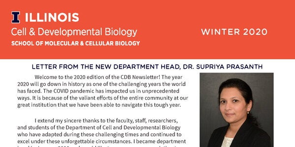 screenshot of 2020 newsletter