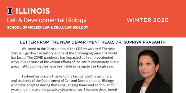 screenshot of 2020 newsletter