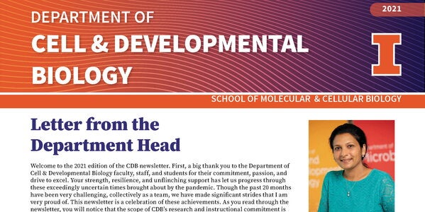 screenshot of 2021 newsletter