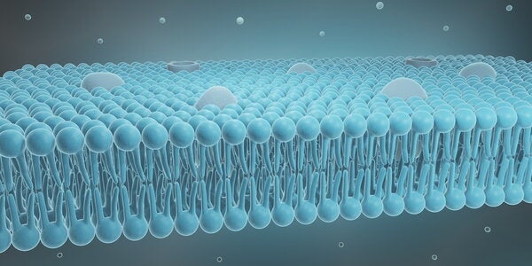 Cell membrane structure with ion channels