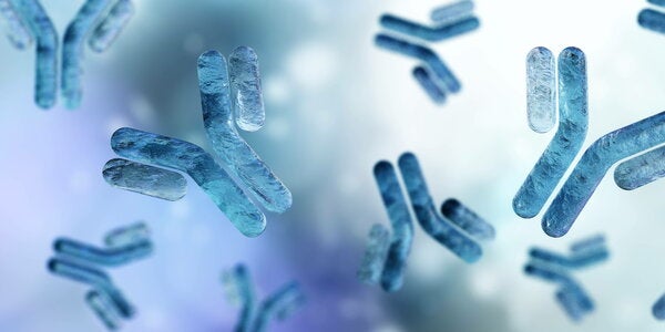 Antibodies, blood plasma globular proteins, background antibodies, banner, immunoglobulin, 3d rendering