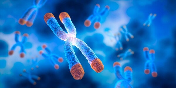 chromosome image