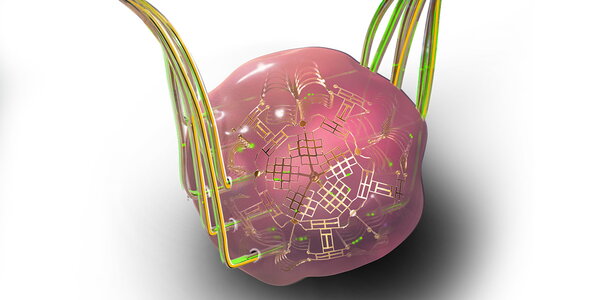 Illustration of an instrumented tissue mimic