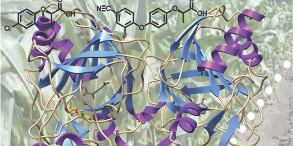 image of an enzyme