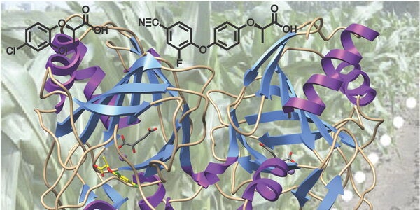 enzyme research image by Satish Nair