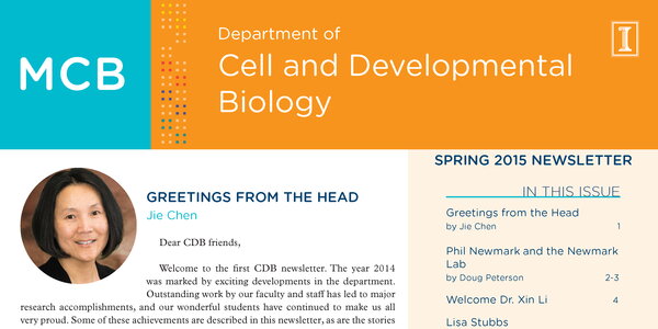 cover page of 2015 newsletter