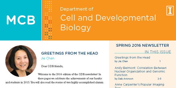 cover of 2016 newsletter