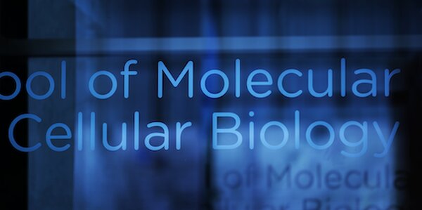 exterior building sign with the text "School of Molecular & Cellular Biology"