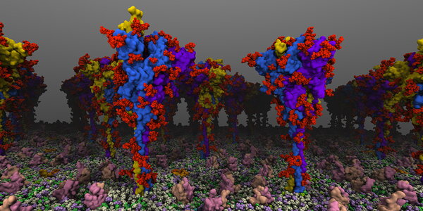protein research image
