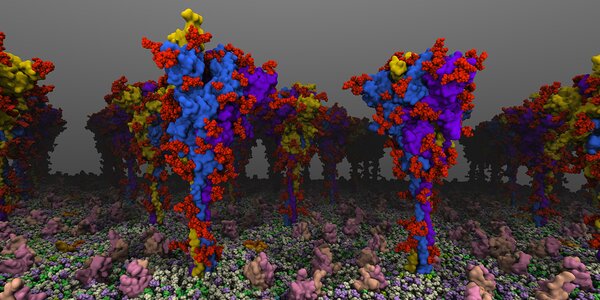 close-up rendering of COVID spike protein