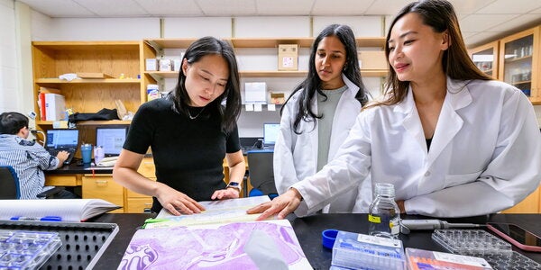 Researchers examine a print of a brain image