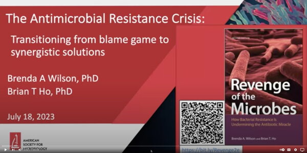 A red webinar slide titled "the Antimicrobial Resistance Crisis"