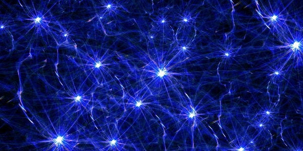 neurons