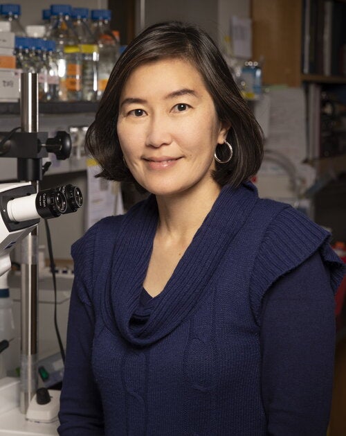 Profile picture for Hee Jung Chung