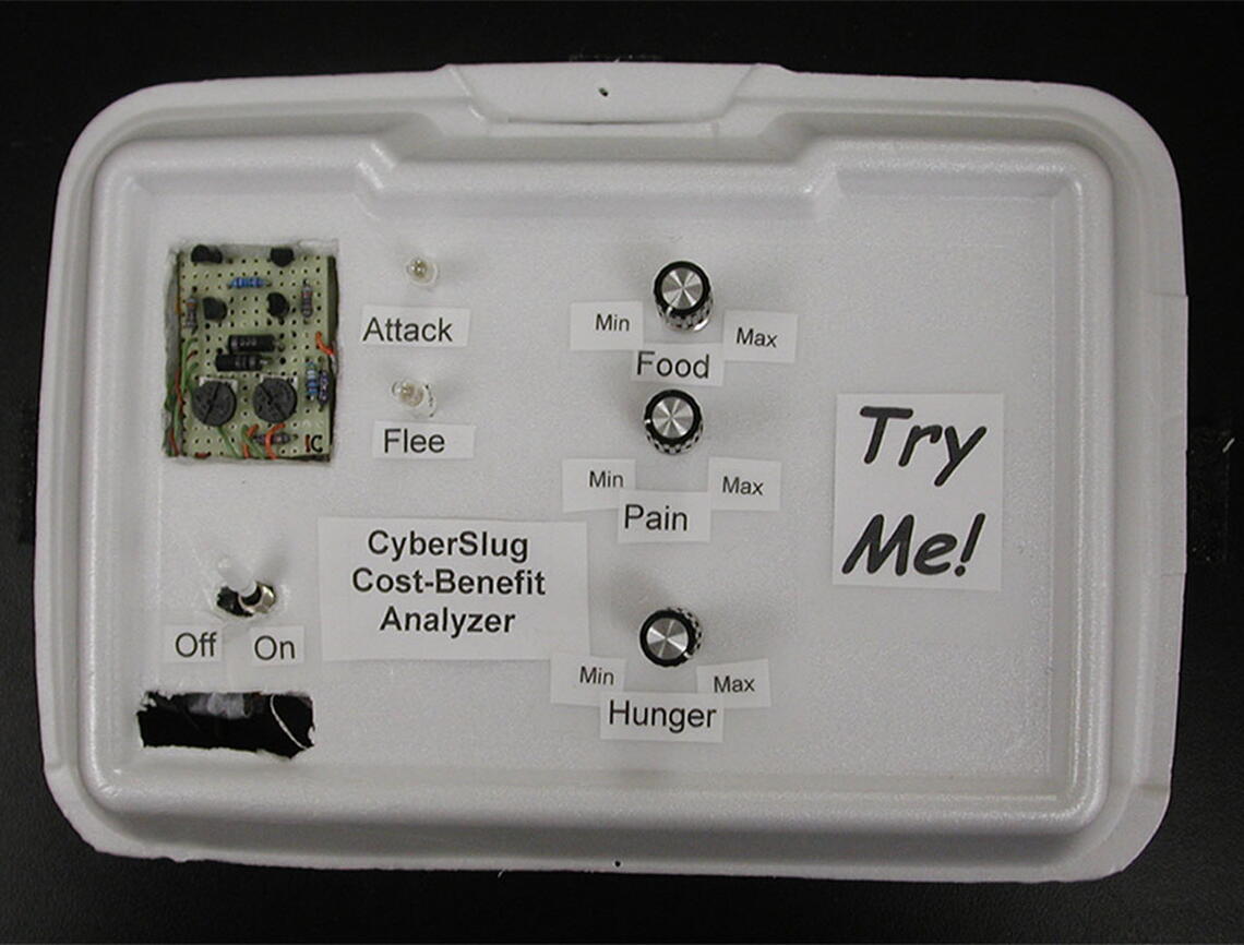 The first Cyberslug prototype was housed in a plastic foam food container. Photo by Mikhail Voloshin