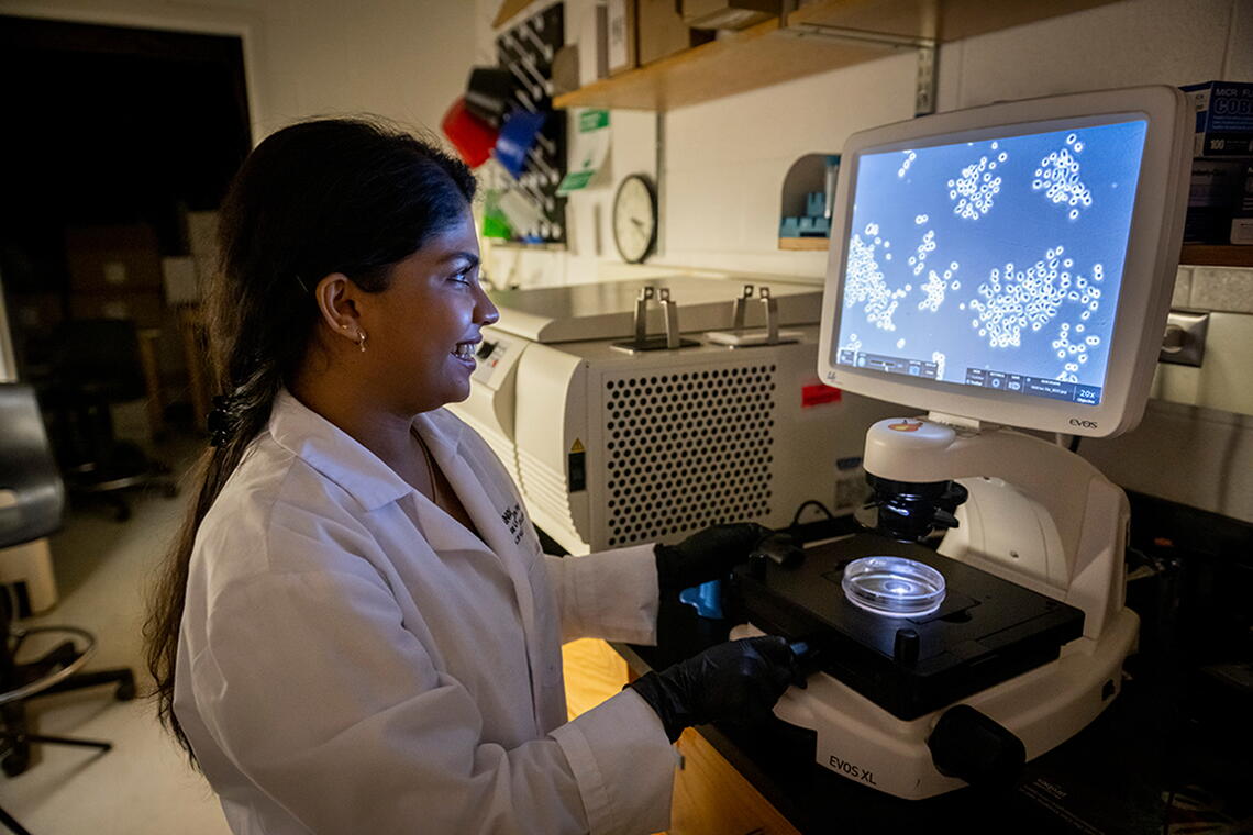 PhD student in MIP examines screen