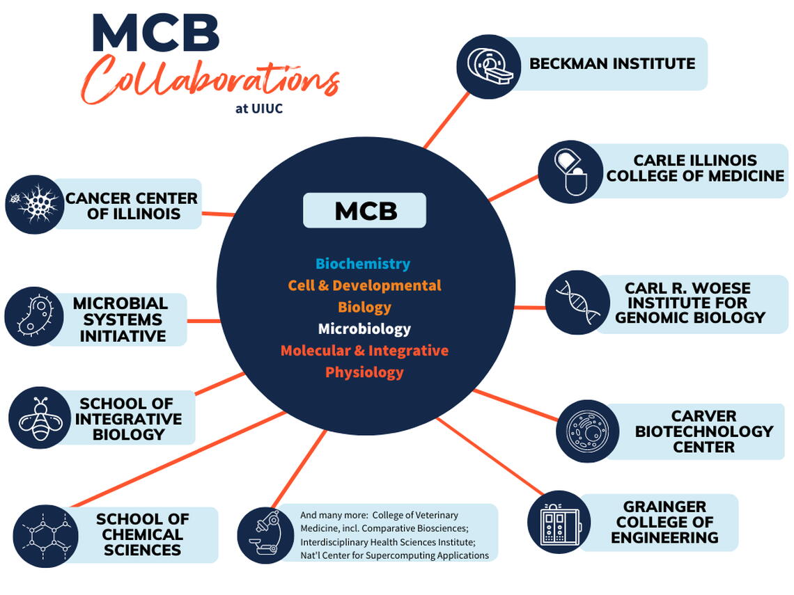 collage of research collaborations