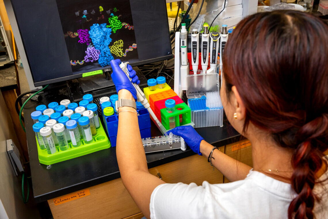 woman wearing a braid pipettes a liquid