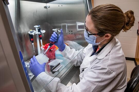 A scientist processes saliva samples in the lab. The laboratory processed up to nearly 20,000 samples a day, with lab assistants taking shifts around the clock to return results within hours of sample collection.