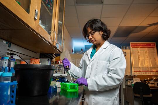 Biochemistry postdoc Preeti Sharma prepares sample in lab
