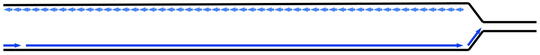 Replication intermediates - graphic depiction of strand RIs