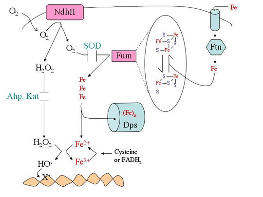 Graphic image charting Imlay research