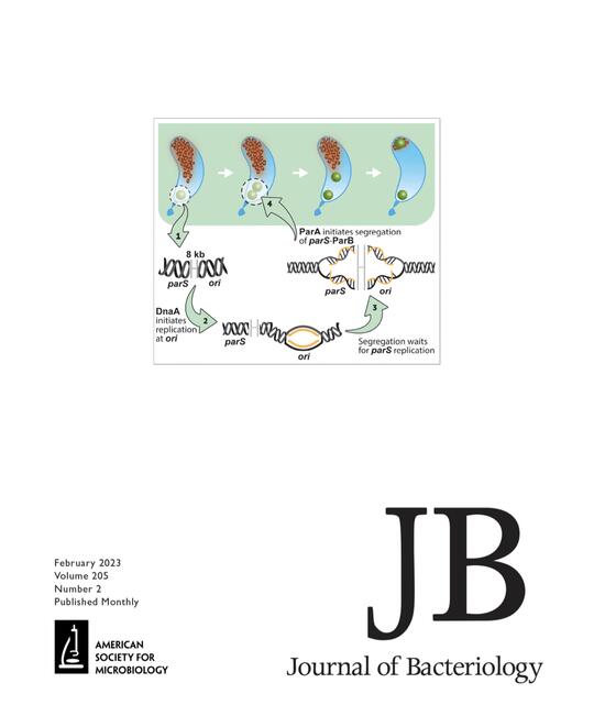 The image is the front cover of the Journal of Bacteriology's February 2023 volume. It shows a graphic illustration designed by the Mera Lab. 