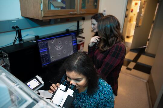 Research scientist Inoka Menikpurage, first author, looks into a microscope in the foreground of the photo. In the background, Stephanie Puentes-Rodriguez and Paola Mera look at the images on a computer screen. 