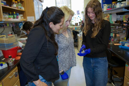 Three women standing in a laboratory and looking at a Petri dish.