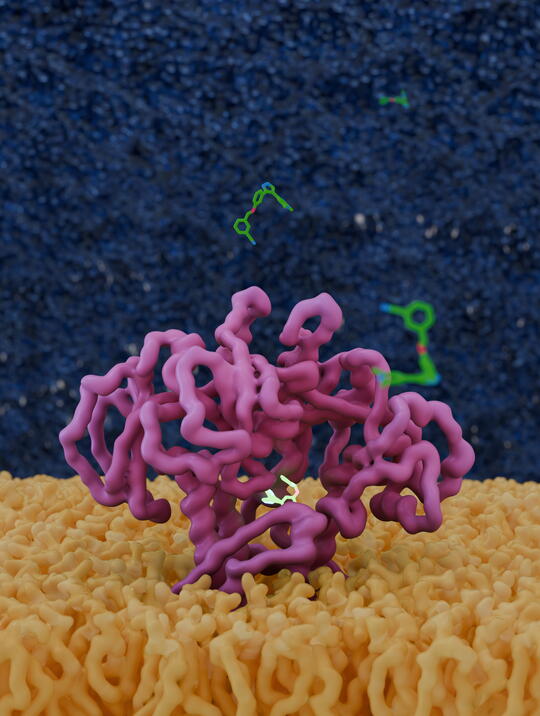 A computer rendering of an antibiotic targeting an infection.