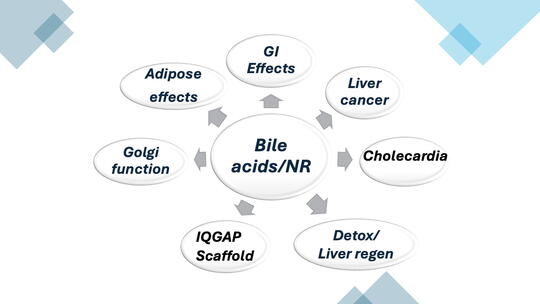 Graphic illustration of research in the Anakk lab