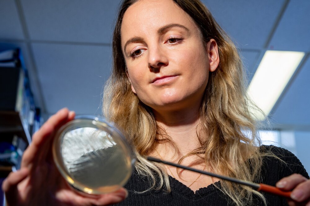 Stefanie Eben gazes at Petri dish in lab.