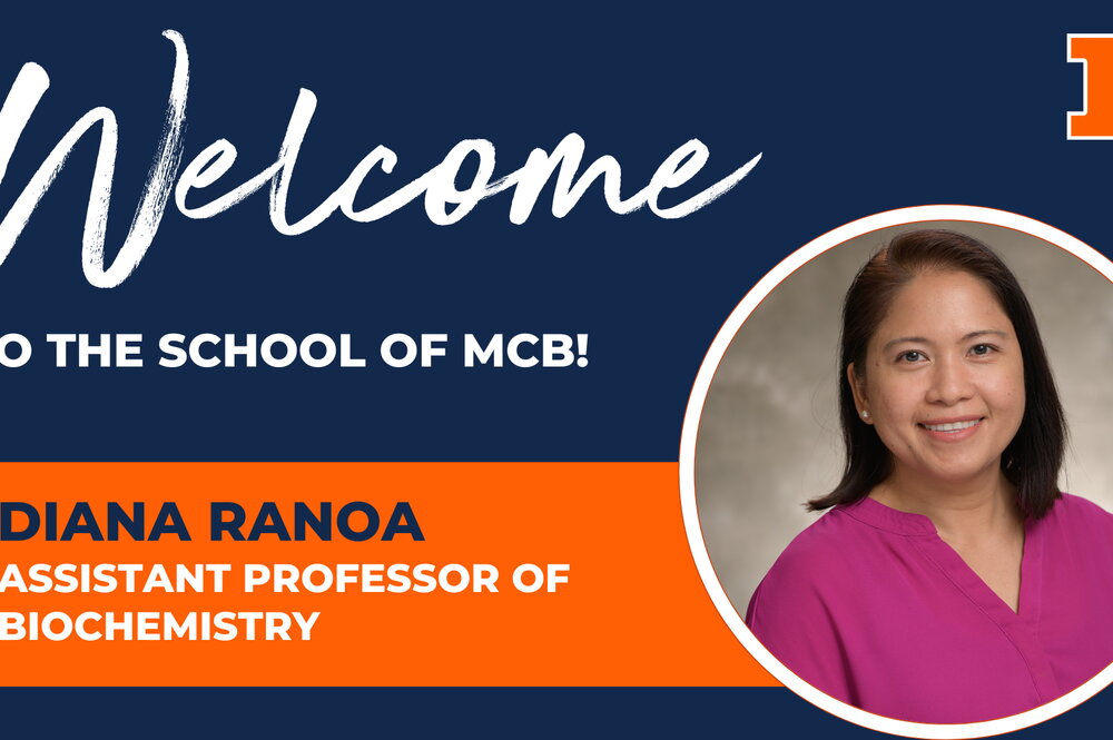 headshot of new assistant biochemistry professor Diana Ranoa in pink shirt and beige background with text, Welcome to the School of MCB.